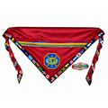 Adventurer Master Guide International Scarf  + Slide