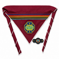 Adventurers Master Guide Scarf & Slide